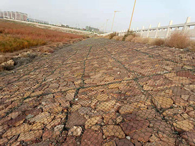 绿滨垫护坡图片5