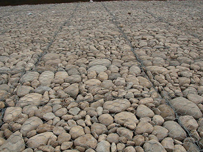 高尔凡雷诺护垫图片2