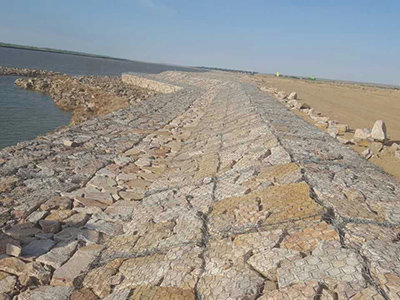 高尔凡雷诺护垫图片5