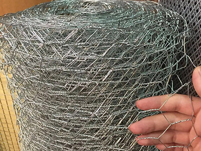 六角钢丝网案例图片2