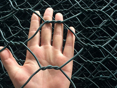 覆塑石笼网图片2